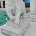 中卫 白麻花岗岩动物异形石雕-大象
