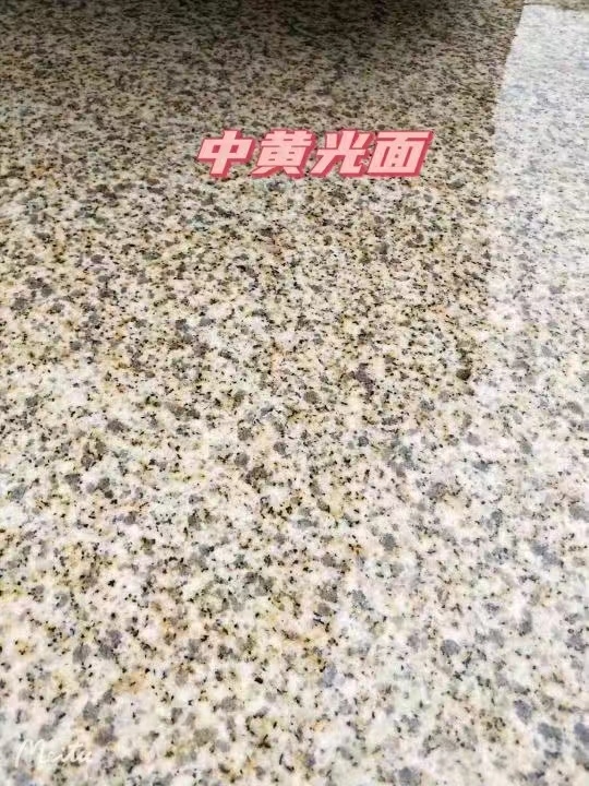 中卫黄金麻中黄光面